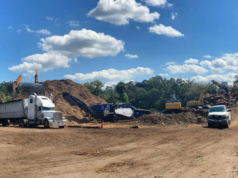 tree removal equipment