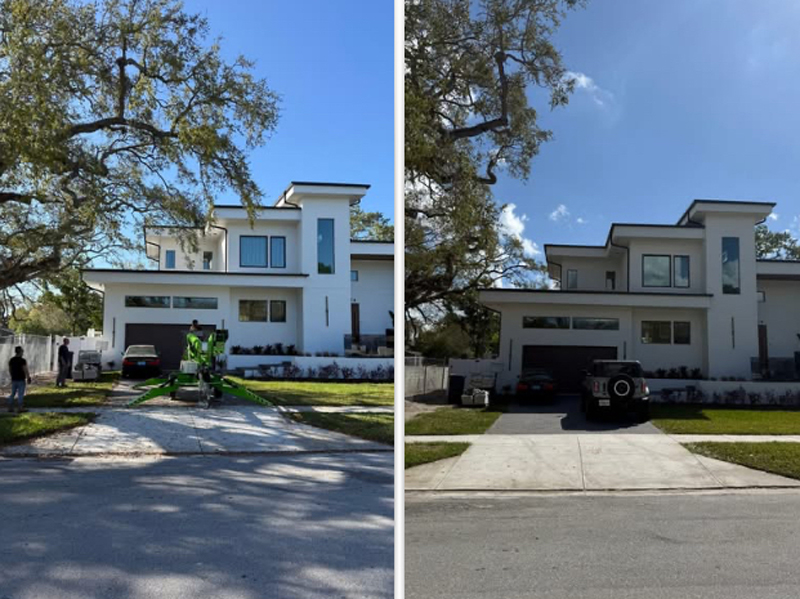 before and after tree pruning