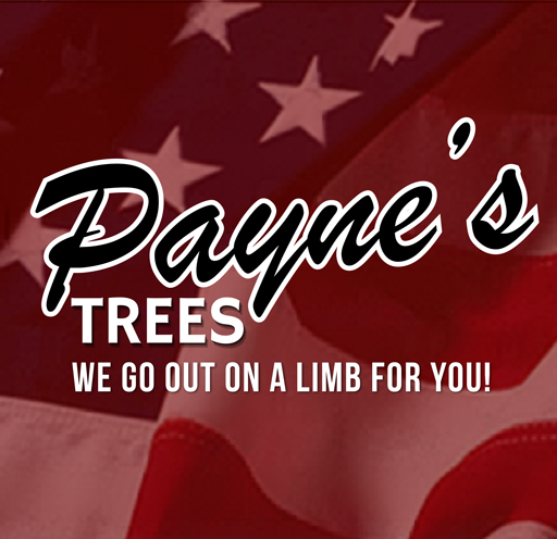 paynes trees logo